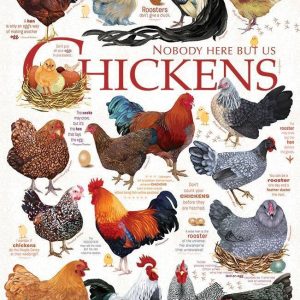Chicken Quotes Jigsaw Puzzle Set
