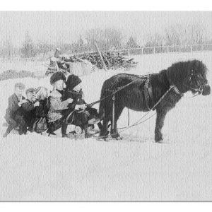 Children On Pony Drawn Sled In Back & White Jigsaw Puzzle Set