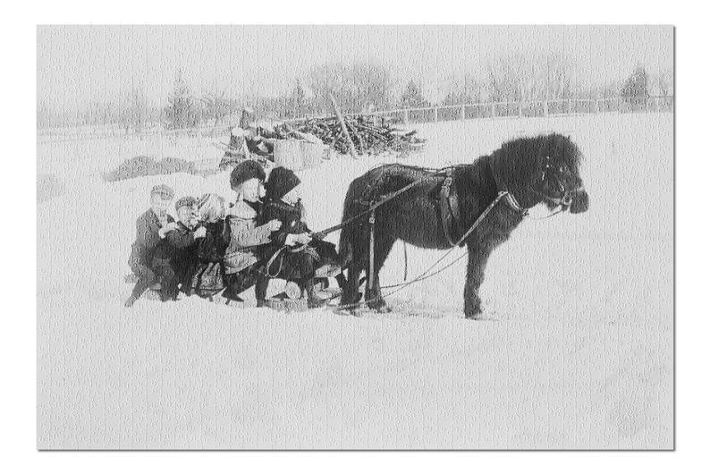 Children On Pony Drawn Sled In Back & White Jigsaw Puzzle Set Children On Pony Drawn Sled In Back & White Jigsaw Puzzle Set