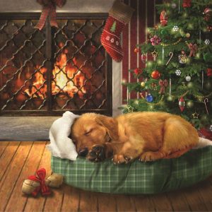 Christmas Wishes Jigsaw Puzzle Set