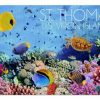 Colorful Coral Jigsaw Puzzle Set