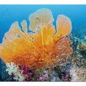 Colorful Seafan Jigsaw Puzzle Set
