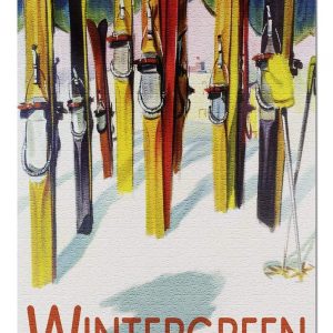 Colorful Skis Wintergreen Jigsaw Puzzle Set