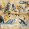 Common Raptors Jigsaw Puzzle Set