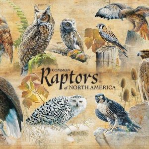 Common Raptors Jigsaw Puzzle Set