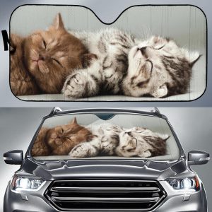 Cute Kittens Car Auto Sun Shade