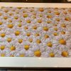 Daisies ? Jigsaw Puzzle Set