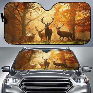 Dear Autumns Car Auto Sun Shade