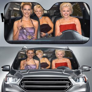 Dixie Chicks Car Auto Sun Shade