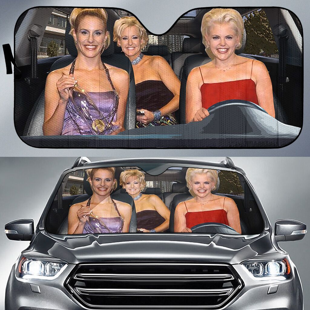 Dixie Chicks Car Auto Sun Shade Dixie Chicks Car Auto Sun Shade