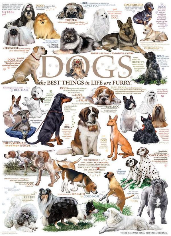 Dog Quotes? Jigsaw Puzzle Set