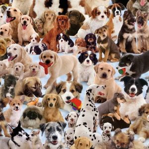 Dogs Galore Jigsaw Puzzle Set