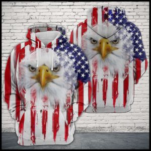 Eagle Usa Flag 3D Printed Hoodie/Zipper Hoodie