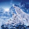 Family Of Wolves Jigsaw Puzzle Set