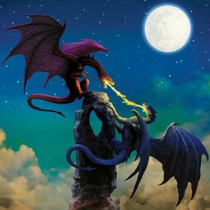 Fire Swords Jigsaw Puzzle Set