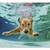 Golden Labrador Retriever Puppy Swimming Jigsaw Puzzle Set