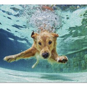 Golden Labrador Retriever Puppy Swimming Jigsaw Puzzle Set