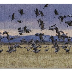 Great Sand Dunes National Park Jigsaw Puzzle Set