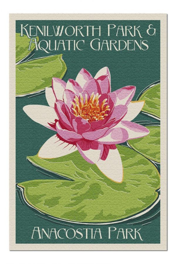 Kenilworth Aquatic Gardens Lotus Jigsaw Puzzle Set