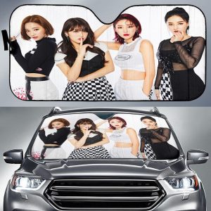 Momoland Mini Show Car Auto Sun Shade