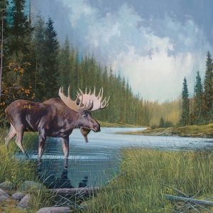Moose Lake? Jigsaw Puzzle Set