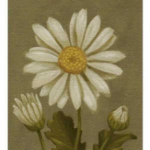 Oil Painting Daisy Jigsaw Puzzle Set