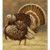 Oil Painting Turkey Jigsaw Puzzle Set