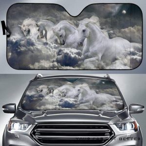 Out Of The Storm Car Auto Sun Shade