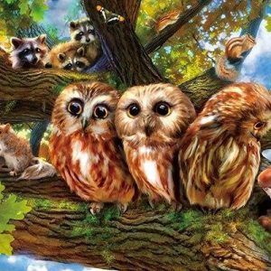 Out On A Limb Jigsaw Puzzle Set