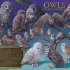 Owls Of North America Jigsaw Puzzle Set
