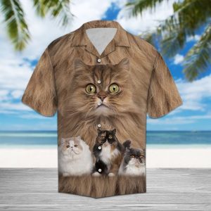 Persian Cat Great Hawaiian Shirt Summer Button Up