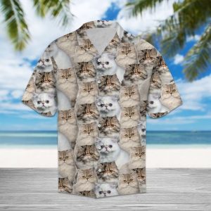 Persian Cat Hawaiian Shirt Summer Button Up