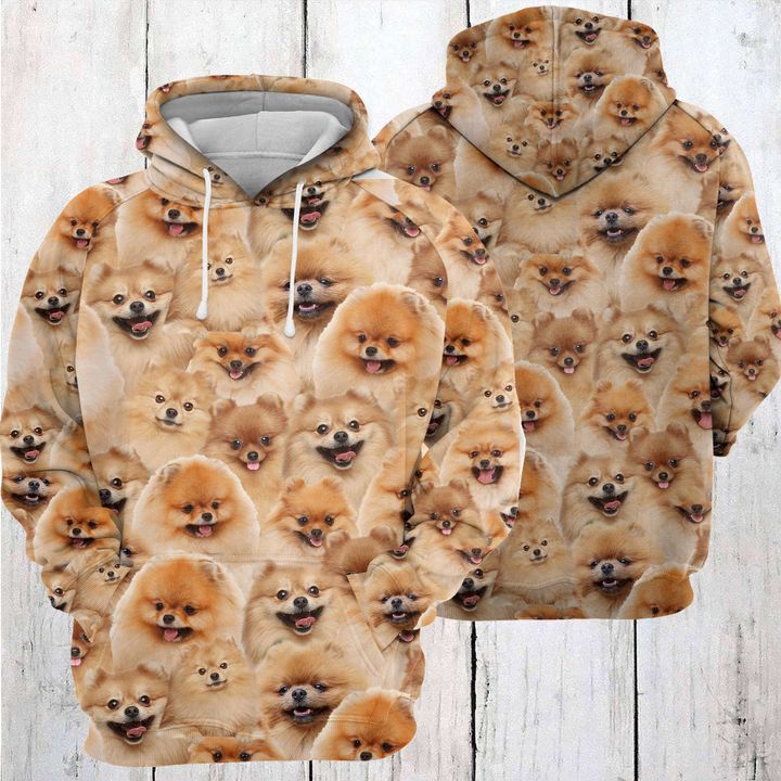 Pomeranian Awesome 3D Printed Hoodie/Zipper Hoodie Pomeranian Awesome 3D Printed Hoodie/Zipper Hoodie