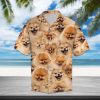 Pomeranian Hawaiian Shirt Summer Button Up
