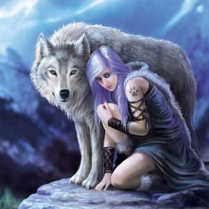 Protector Jigsaw Puzzle Set