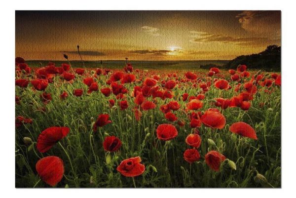 Red Poppy Field Jigsaw Puzzle Set