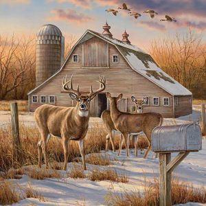Rural Route Jigsaw Puzzle Set