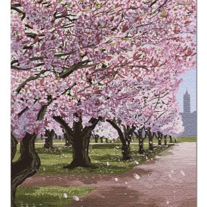 Seattle Cherry Blossoms Jigsaw Puzzle Set