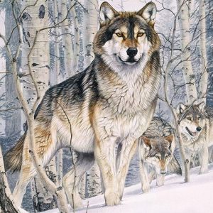 Second Glance Jigsaw Puzzle Set