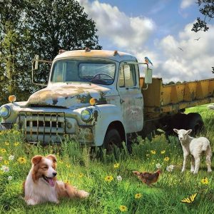 Sheep Field Jigsaw Puzzle Set