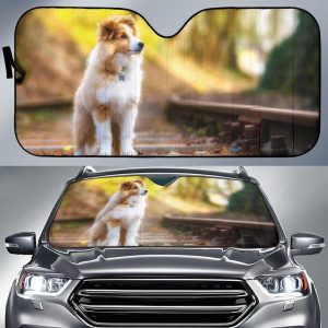 Shetland Sheepdo Car Auto Sun Shade