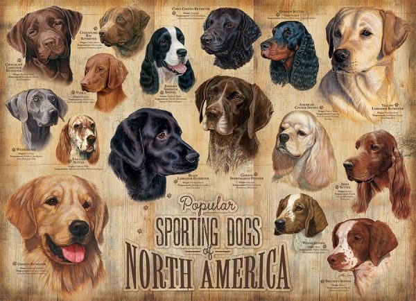 Sporting Dogs Jigsaw Puzzle Set