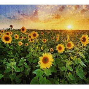 Sunflower Field At Sunset Jigsaw Puzzle Set