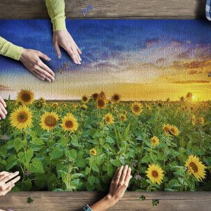 Sunflower Field & Sunset Jigsaw Puzzle Set