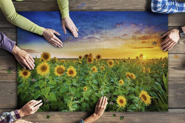 Sunflower Field & Sunset Jigsaw Puzzle Set