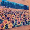 Sunflower Garden ? Jigsaw Puzzle Set