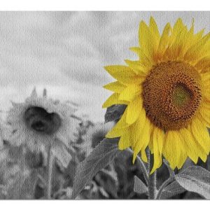 Sunflower In Black And White Field Jigsaw Puzzle Set