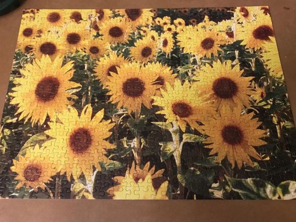 Sunflowers ? Jigsaw Puzzle Set