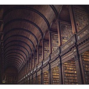 The Long Room In The Library Jigsaw Puzzle Set