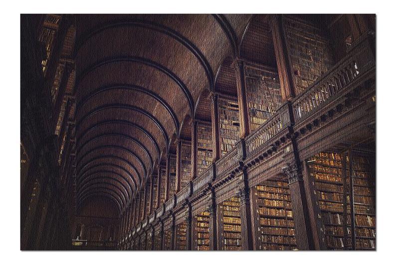 The Long Room In The Library Jigsaw Puzzle Set The Long Room In The Library Jigsaw Puzzle Set